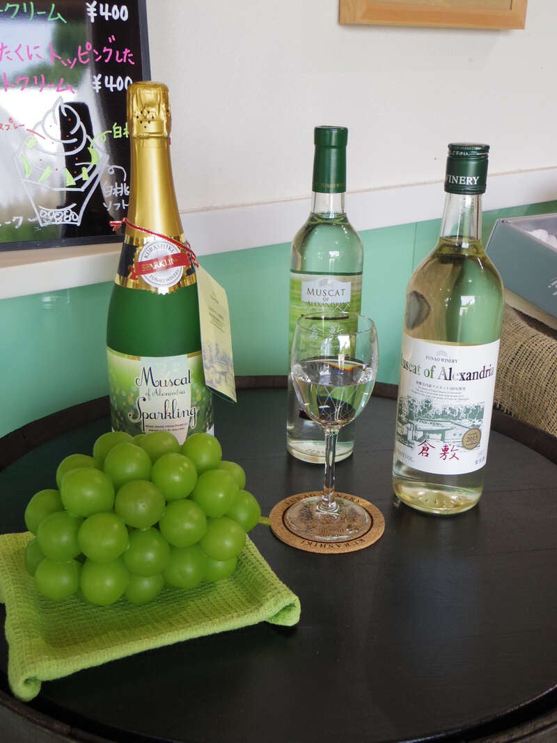 【高松・坂出発】本ズワイガニ食べ放題＆飲み放題～備中国総社宮幸先詣と冬の倉敷・美観地区　日帰り3