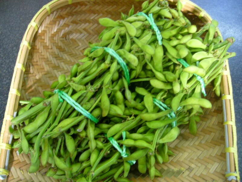 【湖東・湖北エリア発】丹波秋の大収穫祭　日帰り2