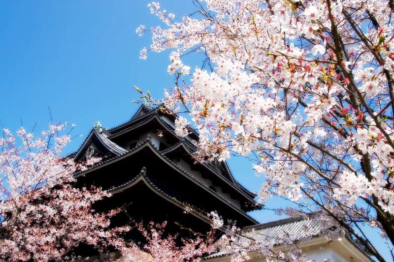 静岡・三島発】姫路城 日帰り・宿泊 ツアー 89,900円〜