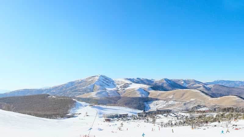 朝発🌞日帰り・白樺湖ロイヤルヒルスキー場1