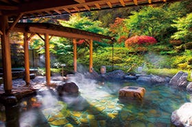 龍野・姫路・三木　発
№1823 山野草の宿二人静と花の南信州