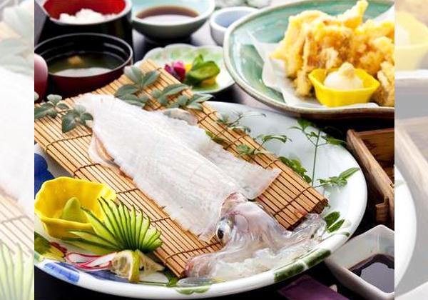 第六回 名護屋城大茶会 ～歴史学者・平山優先生の深掘りトークショー観覧～2