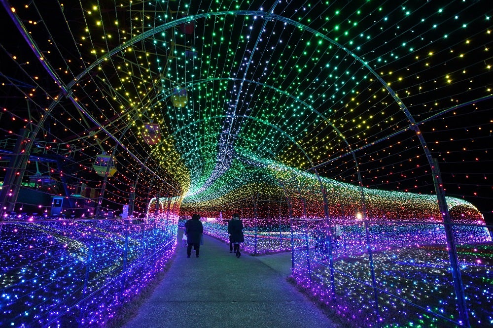 【富山空港発】 あしかがフラワーパーク「光の花の庭」・ 東京ドイツ村イルミネーションと鬼怒川温泉3日間3