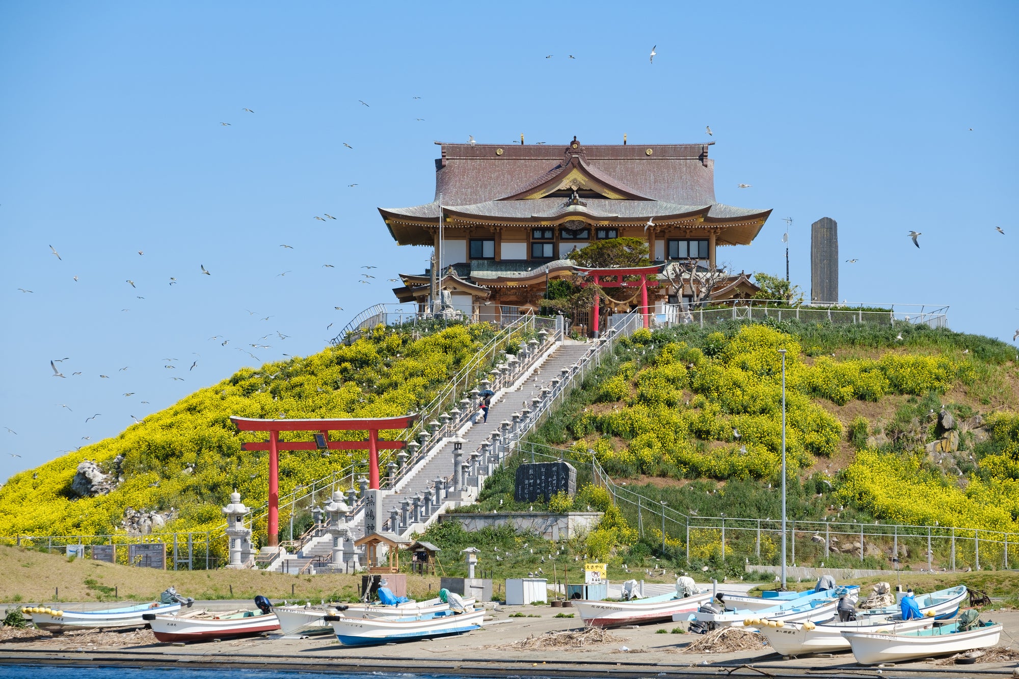 【青森県内発】 旬の味覚もも狩り食べ放題と蕪嶋神社　日帰り3