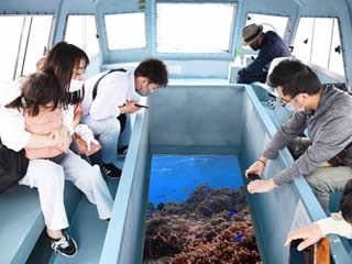 ☆【那覇発/半日南部観光】ラドＯＳＢ号『斎場御嶽＆みーばるビーチグラスボート付+ステーキランチ付コース』★「斎場御嶽」→「新原(みーばる)ビーチグラスボート乗船＆散策」＋「ステーキランチ付（国際通りにて）」★※斎場御嶽入場料は含まれておりません。★￥6,800～7,000★