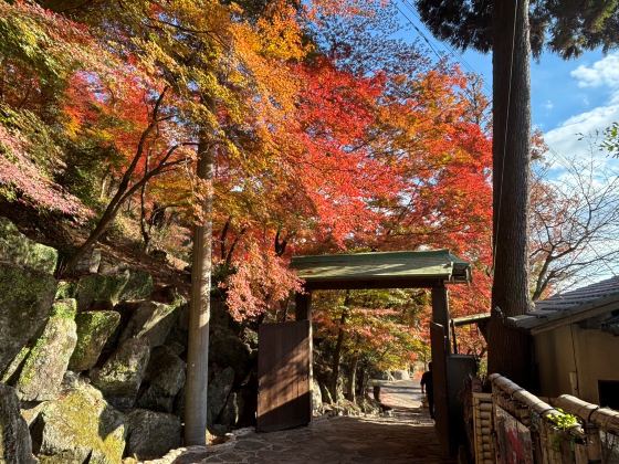 【バスハイク／福岡天神発着／添乗員同行】秋を染める三つの紅葉名所めぐり 清水寺・十可苑・雷山千如寺 ～海鮮丼とほっこり豆乳鍋ランチ～1