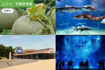 【上三川・宇都宮発着】甘くて楽しい！メロン狩りとうみのともだち/ WEB割引5%引き