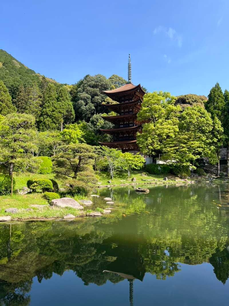 【福岡ルート発】 日本海を望む絶景露天風呂に感動！お土産付き新春お年玉ミステリーツアー　　2日間3