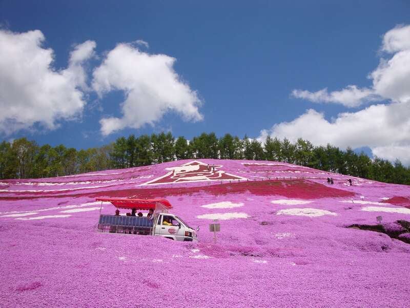 【札幌駅南口発】 春の北海道　道東花めぐり 滝上・東藻琴の２つの芝桜・ゆうべつチューリップ公園と ホテル網走湖荘　(2日間）1
