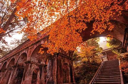 【おひとり様/栃木群馬茨城】京都奈良の桜を味わう「そうだ 京都、行こう。」8名所と吉野山千本桜 3日間