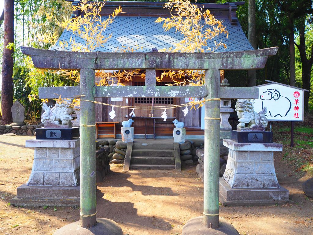 【神奈川県内・町田発】 新春開運！羊ゆかりの神社へ初詣  ～羊神社・咲前神社と伊香保グリーン牧場～3