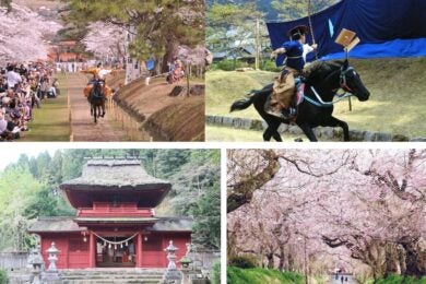 【広島駅新幹線口発着／日帰り】午年に行く！ 津和野の流鏑馬神事と桜の絶景 ～鷲原八幡宮の桜・徳佐のしだれ桜～1
