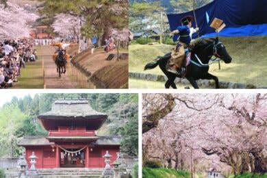 【広島駅新幹線口発着／日帰り】午年に行く！ 津和野の流鏑馬神事と桜の絶景 ～鷲原八幡宮の桜・徳佐のしだれ桜～