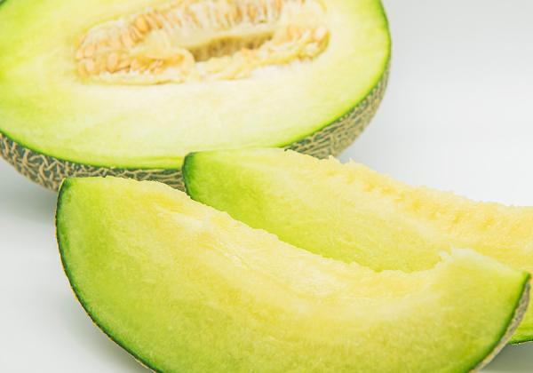 高糖度メロン1玉とスイートコーン2本お土産付♪ バラ色のくまもとメロン旬楽祭1