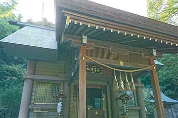 【横浜発】安房神社初詣・鋸南町水仙まつり＆約３００万球の東京ドイツ村ウインターイルミネーション！1