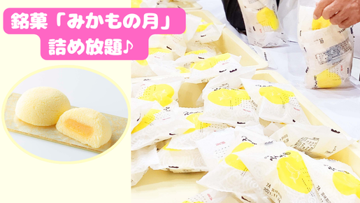 ＜Web割対象商品＞【キングツアーバス旅】大人気ベーカリー「ペニーレイン」パン食べ放題ランチ＆銘菓「みかもの月」詰め放題＆とちぎが誇るブランド！大玉にっこり梨狩り〔立川・京王八王子発〕3