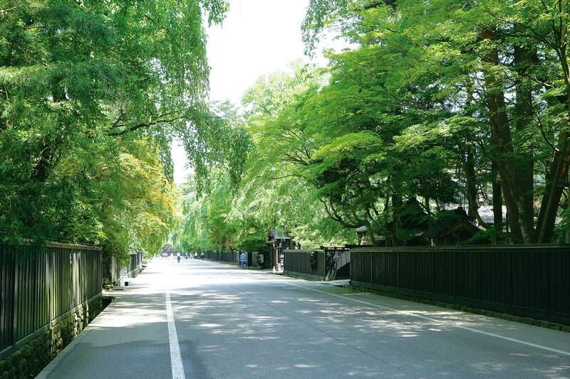 【旭川エリア発】 太平洋から日本海、津軽海峡航路で秋田・青森と道南を巡る！ みちのく小京都角館・ベストシーズン！爽やか八幡平と 湊町八戸・函館　湯の川温泉（4日間）3