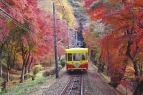 1名参加OK!【津島・一宮発】*1泊4食付き*日本一の渓谷美「昇仙峡」と日本一の急勾配「高尾山ケーブルカー」『石和温泉』