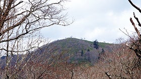 ふるさと兵庫100山&番外編　 赤谷山1