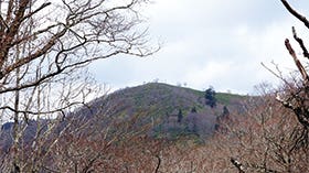ふるさと兵庫100山&番外編　 赤谷山