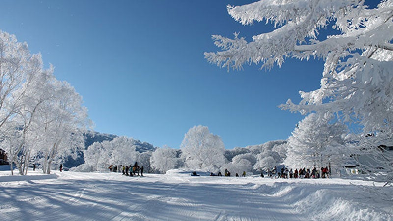 朝発バス/ナイス信濃荘・2泊リフト券付（利用日数選択）3