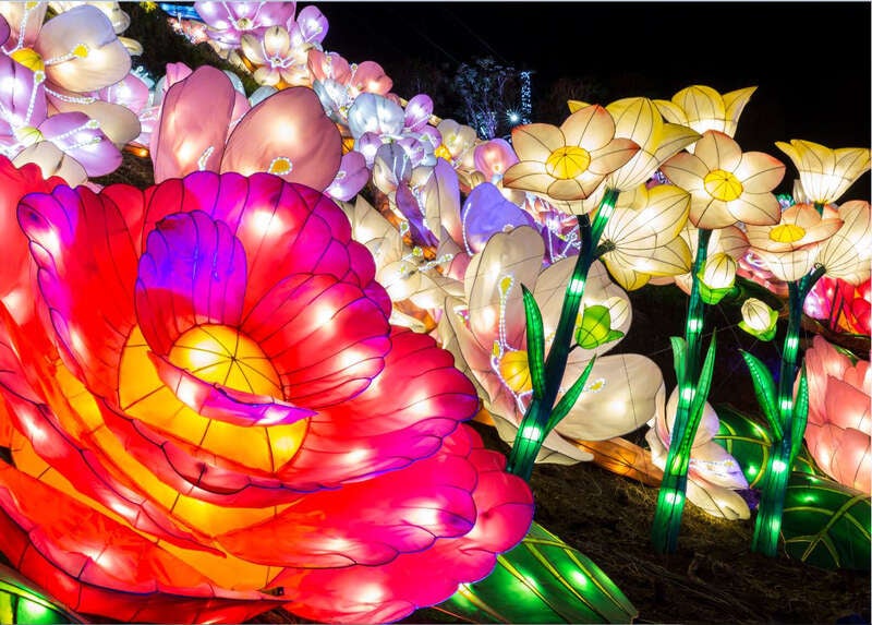 【東京都内発※町田を除く】 日本初！体験型イルミネーション「伊豆高原グランイルミ」と 名店！鈴廣かまぼこ「金目鯛の炙り飯膳」 　日帰り2