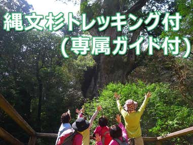 ■往復航空機利用！≪完全貸切ガイドと行く！縄文杉トレッキングツアー付きプラン≫お好きな宿をお選びいただけます！　3泊4日