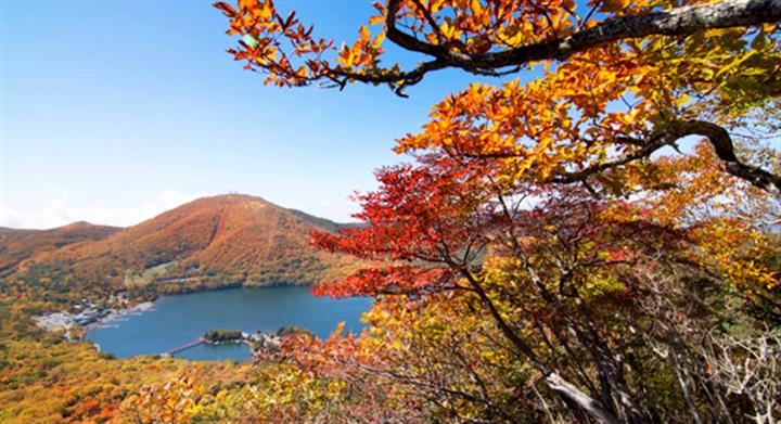 ＜新宿発・西船橋発＞ 日本百名山・錦秋の赤城山　湖上に広がる絶景の紅葉 と 小尾瀬と呼ばれる高層湿原・覚満淵の木道トレッキング　そして、縁結びのパワースポット・赤城神社　～群馬名物！「特製・まいたけ弁当」付き～1