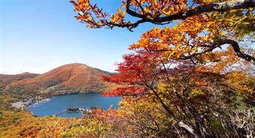 ＜新宿発・西船橋発＞ 日本百名山・錦秋の赤城山　湖上に広がる絶景の紅葉 と 小尾瀬と呼ばれる高層湿原・覚満淵の木道トレッキング　そして、縁結びのパワースポット・赤城神社　～群馬名物！「特製・まいたけ弁当」付き～