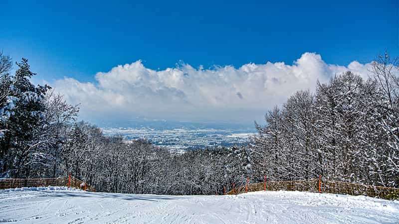 【新宿朝発】ぶっとび！日帰りスキー＆スノボ｜佐久スキーガーデンパラダ・北パラダIN（リフト券付）1