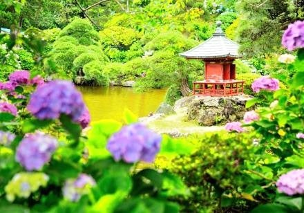＜Web割対象商品＞【キングツアーバス旅】メロン生産日本一茨城・鉾田で甘～いメロン食べ放題＆初夏を彩る保和苑の紫陽花　那珂湊直送新鮮魚介の海鮮ちらし〔吉祥寺・新宿発〕2