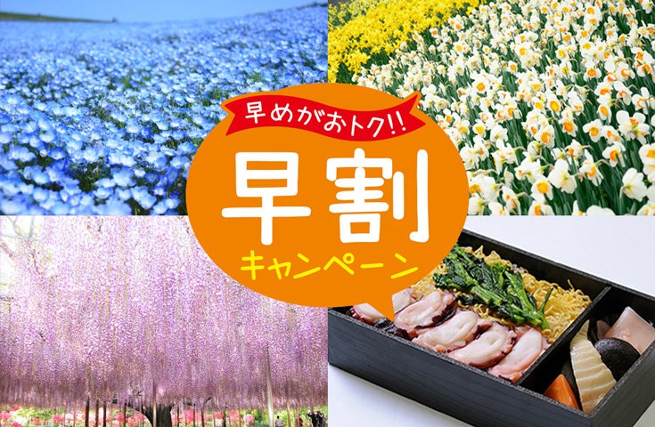 20日前までの予約でお得！！【新宿発】国営ひたち海浜公園のネモフィラとあしかがフラワーパークの大藤・初夏の二大絶景を巡る日帰りバスツアー♪お昼は那珂湊名物のお弁当「三浜たこめし」付き！※全日程催行確定！！1