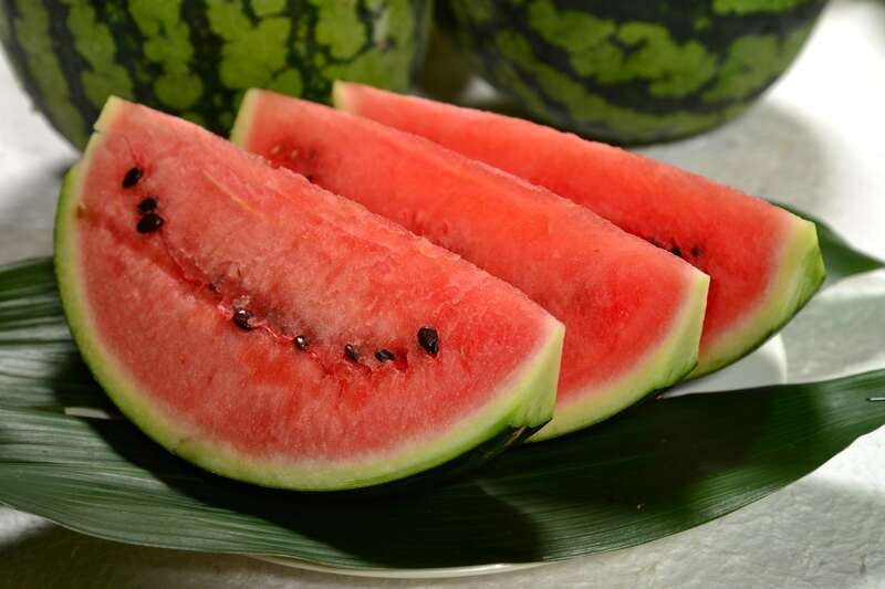 【神奈川県内発】 【YC相武読売会】南房総海鮮浜焼き＆スイカ食べ放題と小泉酒造・ソムリエハウス酒匠の館　日帰り2