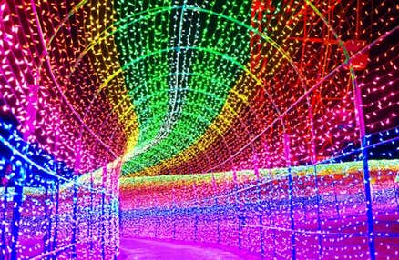 【新宿発】光と音で体感する「東京ドイツ村」ウィンターイルミネーション!!南房総の絶景パワースポット&海の幸の彩り海鮮丼の昼食付き!!千葉の名産・落花生つかみ取り体験も満喫♪ 日帰りバスツアー