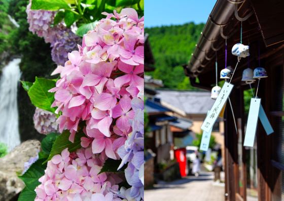 【バスハイク／添乗員同行／天神(福岡)発着】 見帰りの滝を彩るあじさいと 山あいに響く涼音・伊万里大川内山風鈴まつり20261