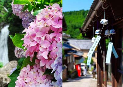 【バスハイク／添乗員同行／天神(福岡)発着】 見帰りの滝を彩るあじさいと 山あいに響く涼音・伊万里大川内山風鈴まつり2026