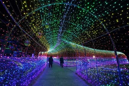 【東京都内発※町田を除く】 約300万球の光と音楽の世界「東京ドイツ村イルミネーション」 ～日本一の店舗数「全330店舗」三井アウトレットパーク木更津～