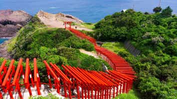 海に映える絶景橋！「角島大橋」・赤鳥居の絶景神社「元乃隅神社」・海のアルプス！「青海島」 山陰・山陽絶景めぐり2日間【大阪南港発】