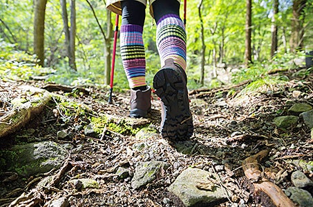 登山学校第4回＜東京発＞富士山に行ってみよう！この時期にしか見られない幻の滝ウォーキング　日帰り1