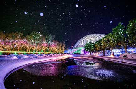 【愛媛県内発】 とっとり花回廊フラワーイルミネーションと新春!出雲大社・足立美術館 2日間