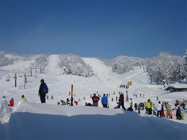 ■●夜発バス　斑尾マウンテンリゾート（斑尾高原＆タングラム）　日帰りプラン　リフト券＆レンタル付1