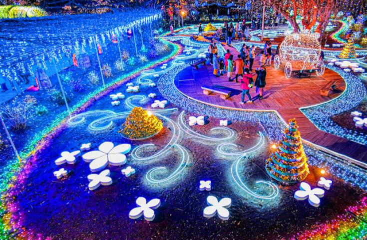 【新宿発】初物「いちご狩り」栃木ブランド品種が30分食べ放題！！光り輝く「あしかがフラワーパーク」イルミネーション＆おかしパークで「みかもの月」詰め放題も満喫★　日帰りバスツアー1