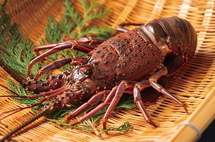 【大分・別府発着】イセエビ×カニ×海鮮バーベキュー食べ尽くし in門司 日帰り