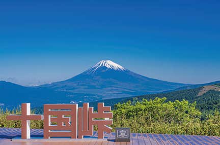 【北九州空港発着】2つの露天風呂付き客室で寛ぐ(1・2泊目) 伊豆・箱根・熱海　4日間　準最上級Sランクホテル(1・2泊目)とオールインクルーシブのお宿(3泊目)に泊まる