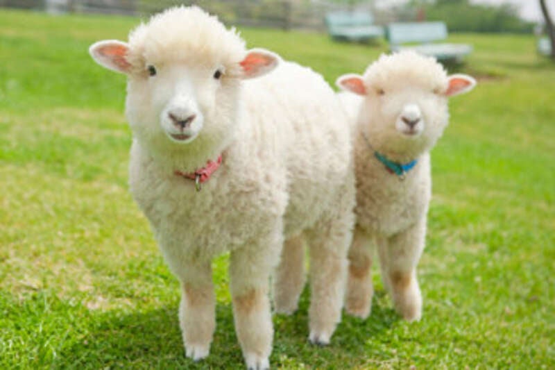 【宮城県内発】 あったか房総半島・水戸偕楽園の観梅（２日間）1