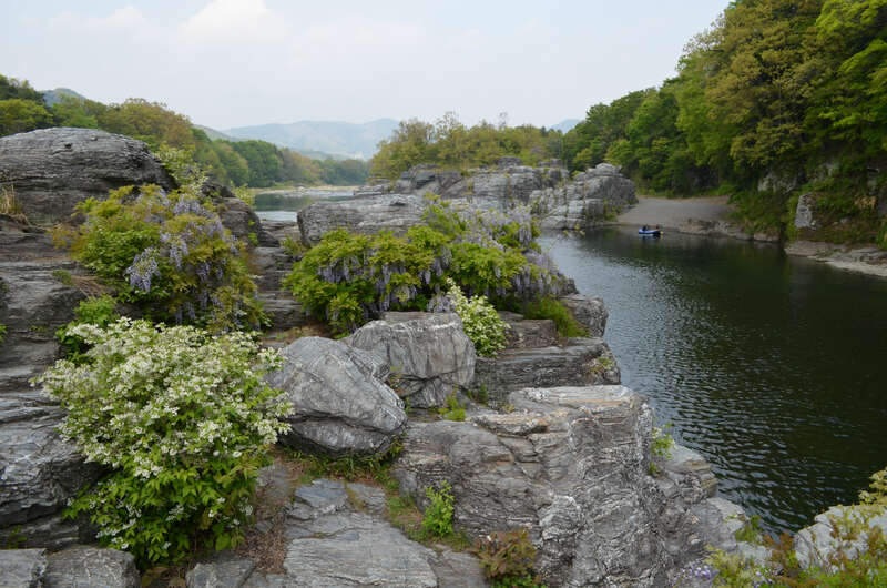 【秋田空港発】 秩父長瀞ライン下り・花菖蒲やアジサイなど季節の花が彩る昭和記念公園と小江戸川越にご宿泊 2日間2