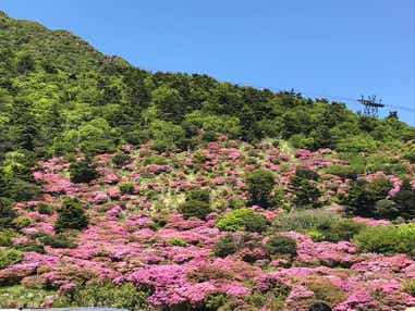【函館空港発】 湯けむり長崎・雲仙温泉と熊本・小泉八雲ゆかりの地 3日間