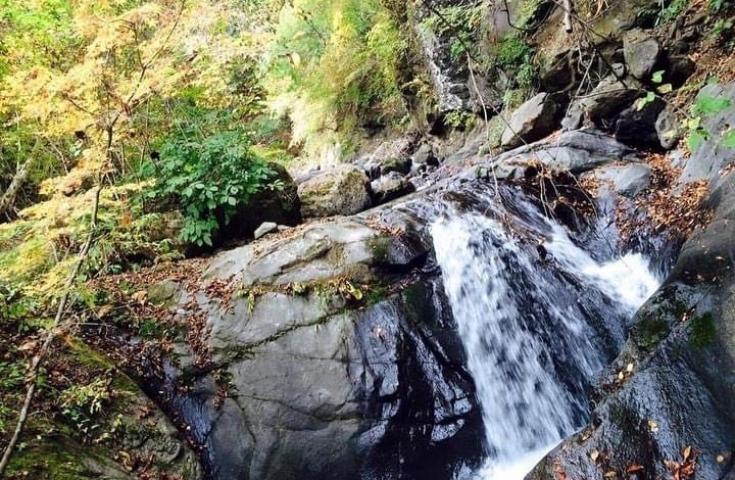 [新宿発]山梨の秘境！大柳川渓谷ハイキング【8本の吊り橋＆絶景滝めぐり】 嬉しい温泉入浴付プラン！【山好きスタッフがハイキングに同行します！】3