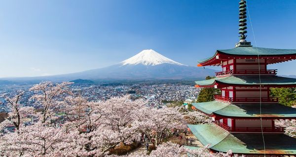 桃と桜に包まれる旅　２泊３日1