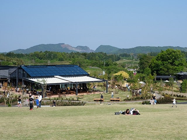 ■【茨城】早春ミニミニハイキング♪いばらきフラワーパーク＆いちご狩り食べ放題＆絶品！黒毛和牛「俵ハンバーグ」ランチ＆あみプレミアム・アウトレット！1